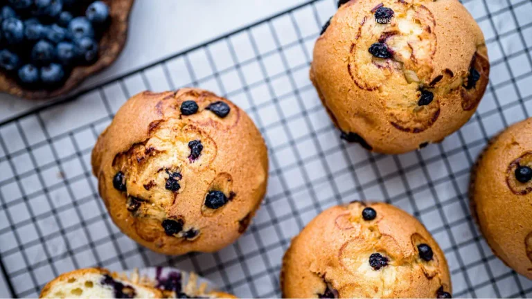 Coconut Flour Blueberry Muffins (Sweetened with Honey)